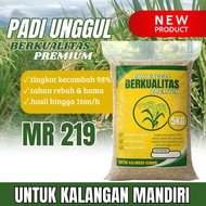 MR 219 superior rice seeds 5kg PACKAGING