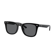 - RB4391D 601/81 65 Black Sunglasses