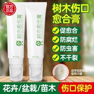 Plant Callus Cream Tree Wound Healing Agent Fruit Tree Shears Apply Grafting Incision Repair Bonsai Sterilization and Antiseptichuluxd.sg4.25