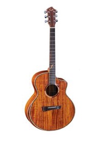 Sole SG-318C 單板木結他 Solid top acoustic guitar Sole SG318C Yamaha F310
