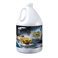 BIO-X CAR WASH 3.0 L-Liquid