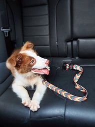 1入組彩色印花寵物汽車安全座帶,狗和貓的汽車安全胸帶,出行必備裝備