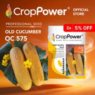 (100 SEEDS) Biji Benih Timun Tua Gold bar 金霸 OC575 CROP POWER F1 HYBRID Old Cucumber Seeds 老黄瓜种子 OC 