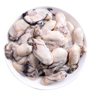 冷冻生蚝肉 Frozen Oyster Meat