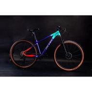 Devel Project Techteam 29er builtbike 12speed Boost