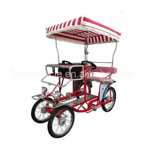 Modern Design tandem Bicycle Two People Surrey Bike for Sightseeing