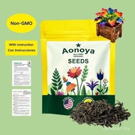 Hosta Seeds – Perennial Shade Plant for Garden and Yard