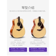 Genuine YAMAHA YAMAHA Guitar fg800 Veneer Folk Wooden Electric Box Beginner Student Male Female 137/
