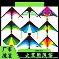 B. b.  Fang Dashan Water Prairie Triangle Kite Adult Breeze Easy Fly Outdoor Park Large Paper Kite K