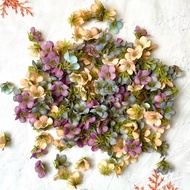CIGALLERY DAISY MINISIA FLOWERS 2 cm Mini flowers sweetener flowers small flowers dowry materials