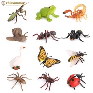 CHICSUMMER Educational Life Cycle Toys Realistic Animal Models Collection Insect Frog Spider Ducks G