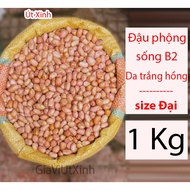 LIVE PEANUTS B2 - PINK WHITE SKIN - BIG SIZE - 1KG BAG