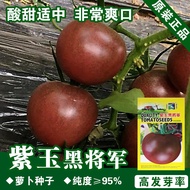 Tomato Seeds Tomato Seeds Vegetable Seeds Vegetable Seeds Vegetable Seeds Vegetable Seeds Seeds Whol