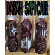 marus darah sapi cair