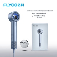 FLYCO | Smart Temperature Control High-speed Hair Dryer