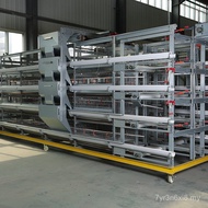 Pengilang Sangkar Ayam Pedaging Automatik Sepenuhnya Sangkar Ayam Pedaging Bergalvani Sangkar Ayam L