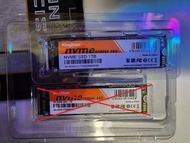 KingDian 1TB m.2 NVMe SSD gen 3 (1 unit left)