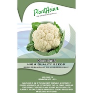 △CAULIFLOWER SEEDS SPECIAL