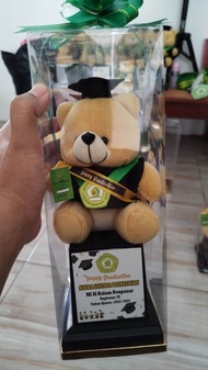 Piala wisuda boneka piala boneka TK piala boneka murah piala boneka PAUD