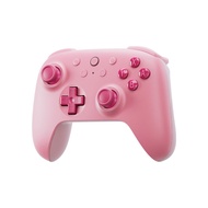 8BitDo | Vibration & Motion Sensing Gamepad for Nintendo Switch Lite & OLED