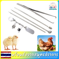 มีดตอนไก่ อุปกรณ์ตอนไก่ เครื่องมือผ่าตัดไก่ เครื่องมือผ่าตัด ที่ตอนไก่