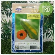 Paket 10 Biji (Seeds) PAPAYA Chia Tai Home Garden Biji Benih Betik Renek Sekaki Premium Thailand Ready Stock.