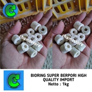 media filter bioring bio ring super berpori import high quality