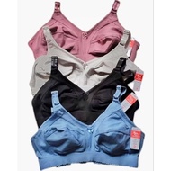 Elena Thin Foam Bra Non-Wired 23243 Size 34C-42C
