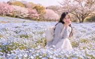 Fukuoka Itoshima & Uminonakamichi Seaside Park One-Day Spring Tour