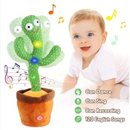 Dancing Cactus, Swinging Cactus, Talking Cactus, Rotating Pole, Twisting Cactus, Wholesale from Manu