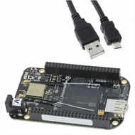 Beaglebone Black Wireless