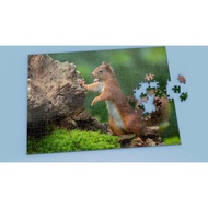 Squirrel Jigsaw Puzzle - Sample 8 - Print On Request