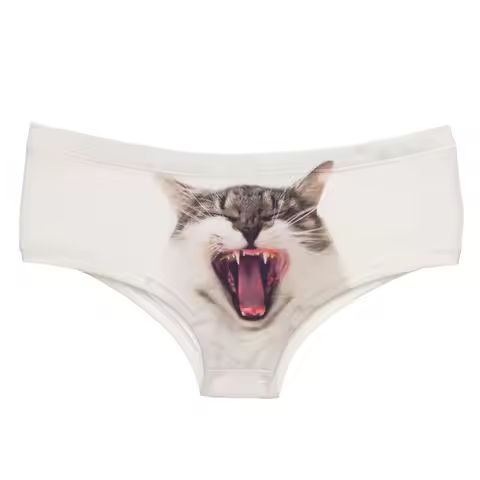 DeanFire Kawaii 3D Panties Women Underwear YAWNING CAT Funny Print Lovely Push Up Briefs Lingerie Th