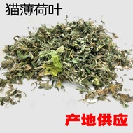 White Flowered Nip Leaves Nip Can Be Bagged Nip 1Kg