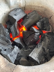 ถ่านไบโอชาร์ ถ่านไร้ควัน เผาจากเตาเหล็ก ก่อนจะเป็นถ่าน ผ่านความร้อน 500 องศา ถ่านสำหรับ isopod minisopod ถ่าน Organic