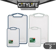 (BUNDLE OF 2) - Citylife Anti-bacterial Non-slip Kitchen Meat Fruit Vegetable Chopping Board Food Chopping Board KB-7154