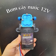 [Real photo] Water dispenser pump, large 12V medicine bottle pump