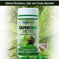 Sambong Capsules Food Supplement