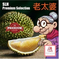 [3 Boxes Bundle][Old Tree] -SLH Fresh Durian Delivery 400/600g/RP/D13/SK/MSW/JF/BT