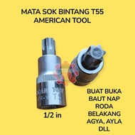 MATA T55 STAR SOCKET BIT T55 STAR SOCKET BIT T55 AMERICAN STAR SOCKET