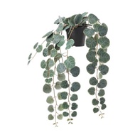 FEJKA ARTIFICIAL POTTED PLANT IN/OUTDOOR HANGING/STRING OF HEARTS 9CM READY STOCK BUNGA IKEA