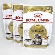 Royal Canin Maine Coon Mainecoon Adult 85 Gr Pouch Cat Wed Food Kucing