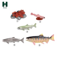 [Homyl] Salmon Life Cycle Toys, Preschool Educational Tools, Animal Growth Cycle Figurines, Farm Ani