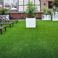 Approx. 1m X 1m / 1m X 2m / 1m X 3m / 1m X 4m / 1m X 5m / 1m X 6m Thin Artificial Grass Mat, Durable