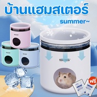 Hamster House Guinea Pig For Pets Cool Hide