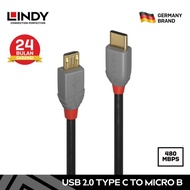 LINDY 36891 1M Kabel DAC USB Type C to Micro USB 2.0