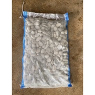 White coral stone round white brush stone/ size 1/ 2 Contents 11 Kg