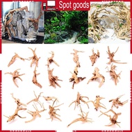 XI Driftwood Aquarium Decorations Assorted Branches Terrarium Habitat Ornament