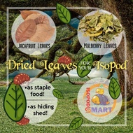 [Ready Stock] Dried Leaves for Isopods / 50g Isopod Staple Food & Hiding Shed