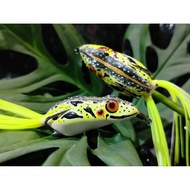 SF SKIRT "KUNCUNG" 4.5 CM ORANGE PEEL MOTIF